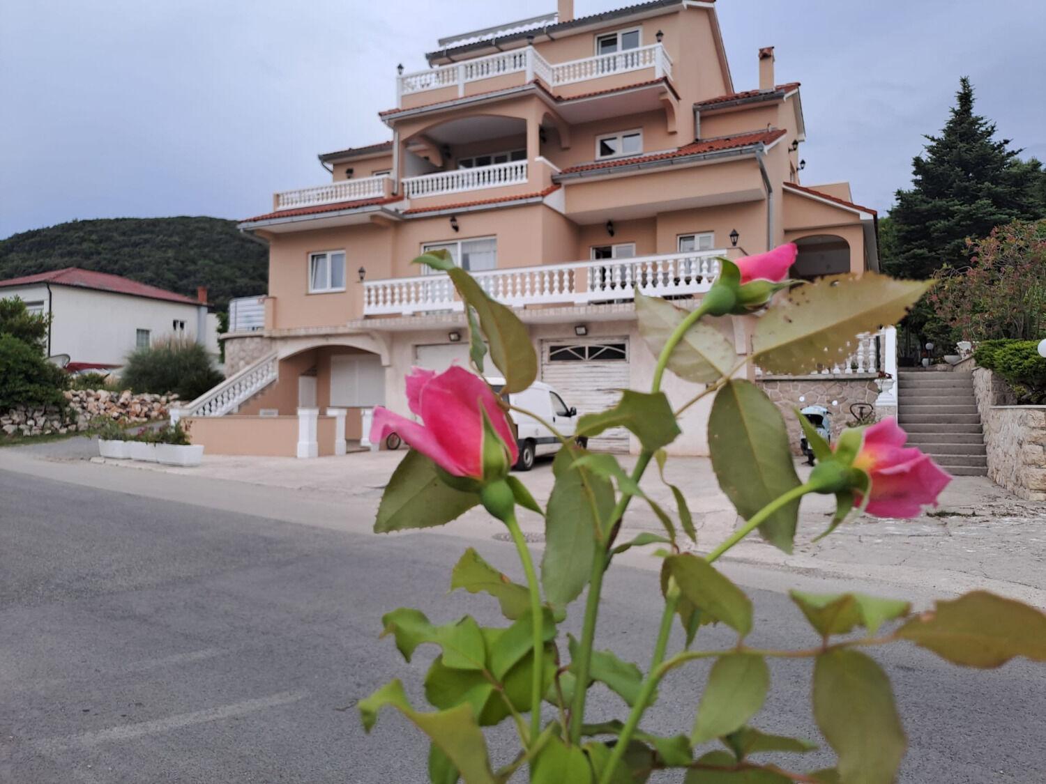 Apartments Mig - With Beautiful Garden Supetarska Draga Exterior foto